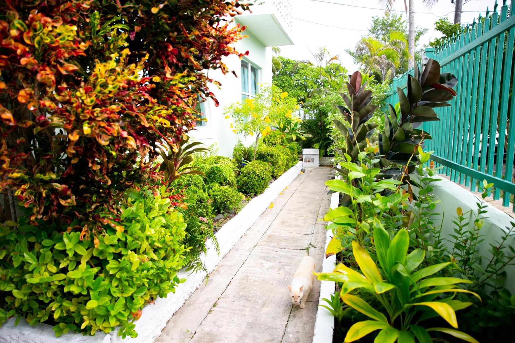 Numero Uno Beach Apartments San Juan Exterior photo